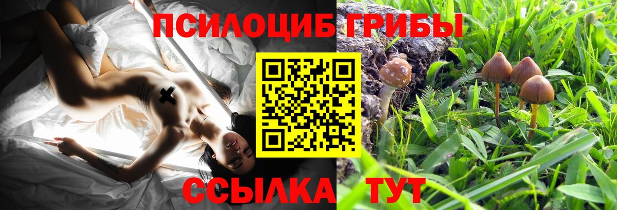 Галлюциногенные грибы мухоморы Краснознаменск